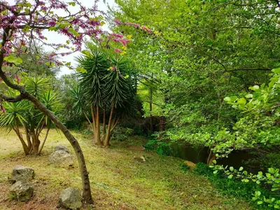 Jardin de l'établissement auberge de tesa