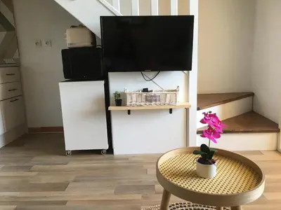 Télévision ou salle de divertissement dans l'établissement Corse Appartement vue mer - Linguizzetta - Marine de Bravone