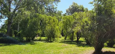 Jardin de l'établissement PRATICCIONI