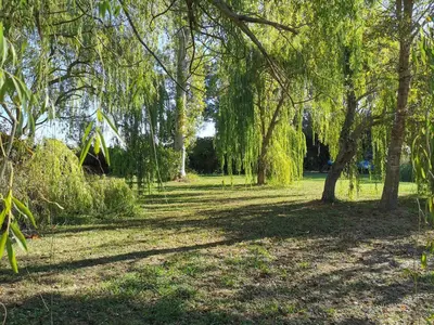 Jardin de l'établissement PRATICCIONI