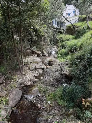 Paysage naturel près de la villa