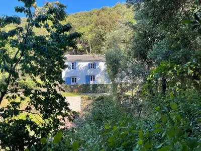 Paysage naturel près de la villa