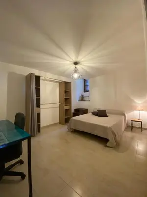 Un ou plusieurs lits dans un hébergement de l'établissement Appartement de charme vieille ville