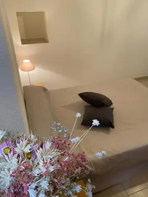 Un ou plusieurs lits dans un hébergement de l'établissement Appartement de charme vieille ville