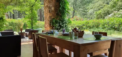 Jardin de l'établissement Domaine Codaleone