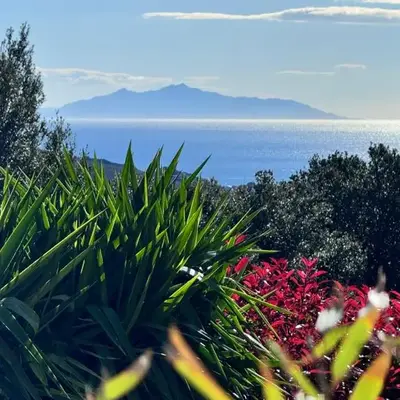 Gîte indépendant dans villa entre mer et maquis