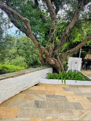 Jardin de l'établissement Cap Corse une villa dans un nid de verdure