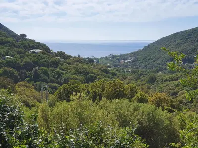 Paysage naturel près de l'appartement