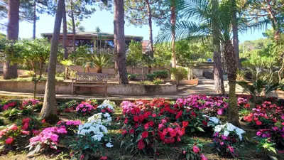 Jardin de l'établissement Résidence Les Pins