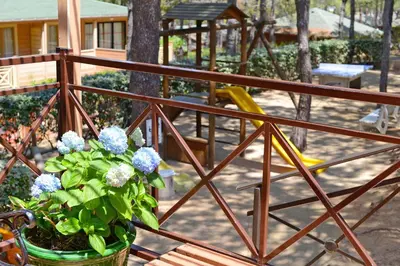Jardin de l'établissement Résidence Les Pins