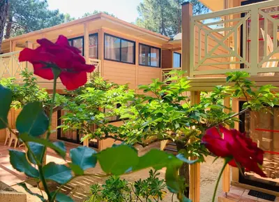Jardin de l'établissement Résidence Les Pins