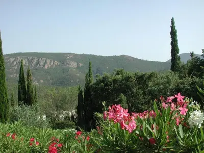 Paysage naturel près de la maison de vacances