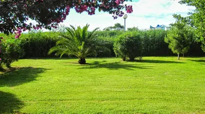 Jardin de l'établissement Marina Corsa Residence Apartment 3 rooms 6 persons 150 m sandy beach Ghisonaccia