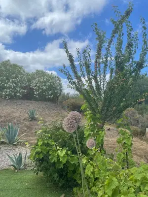 Jardin de l'établissement Le Clos des Milans