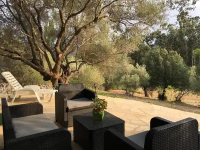 Jardin de l'établissement Petite maison en pierre