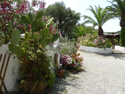 Jardin de l'établissement Relais de Bravone