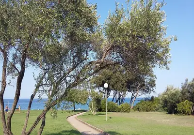Paysage naturel près de la maison de vacances