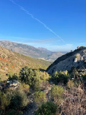 Paysage naturel près de l'appartement
