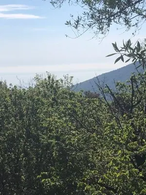 Paysage naturel près de l'appartement
