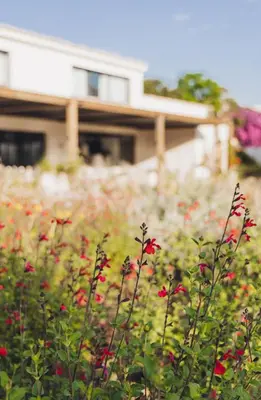 Jardin de l'établissement Casa Paradisu