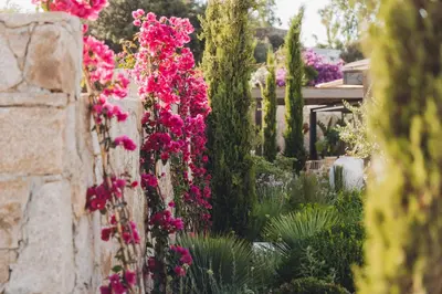 Jardin de l'établissement Casa Paradisu