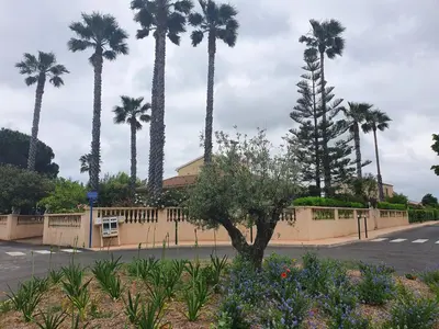 Jardin de l'établissement Villa les palmiers -Stretta di i mandarini