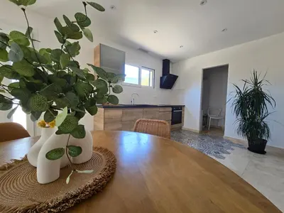 Cuisine ou kitchenette dans l'établissement Domaine U Filanciu - Centru di Corsica