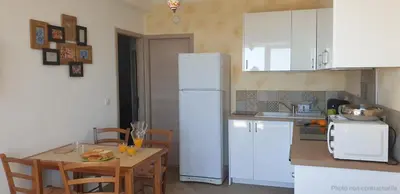 Cuisine ou kitchenette dans l'établissement Appartement A Caserella entièrement rénové avec terrasse et vue panoramique sur mer