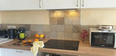Cuisine ou kitchenette dans l'établissement Appartement A Caserella entièrement rénové avec terrasse et vue panoramique sur mer