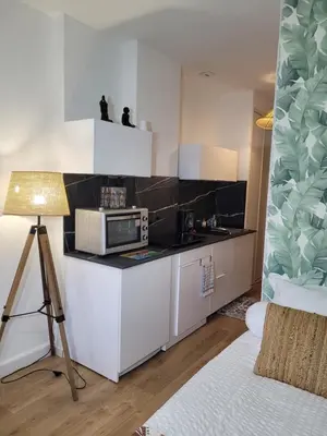 Cuisine ou kitchenette dans l'établissement Studio bord de mer - Plage - Piscine - Wifi