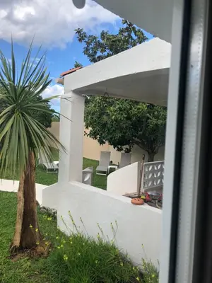Jardin de l'établissement Butia