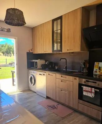 Cuisine ou kitchenette dans l'établissement Butia