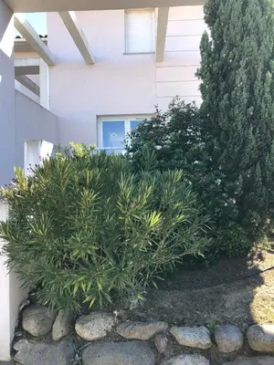 Jardin de l'établissement MAISONNETTE 6 PERS PROCHE L'ILE ROUSSE