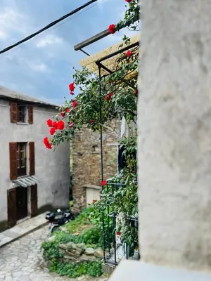 Jardin de l'établissement Très jolie maison aux portes du Cap Corse