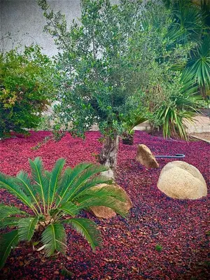 Jardin de l'établissement Campo Vecchio Dracena et Piscine