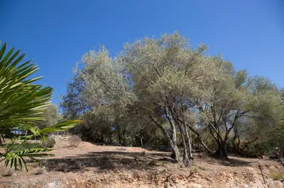 Paysage naturel près de l'appartement