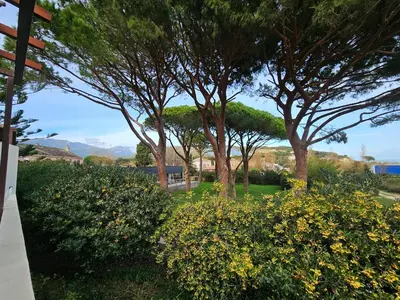 Jardin de l'établissement Domaine U Pozzu
