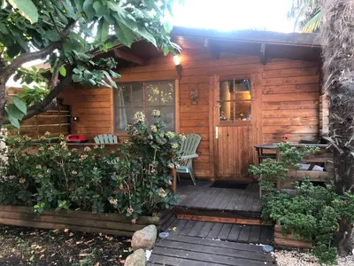 Jardin de l'établissement Chalet - Piscine - Wifi