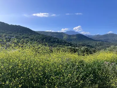 Paysage naturel près de la villa