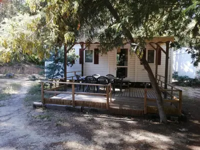 Jardin de l'établissement Résidence Santa