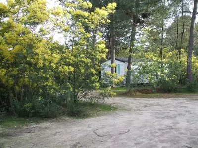 Paysage naturel près de la maison de vacances