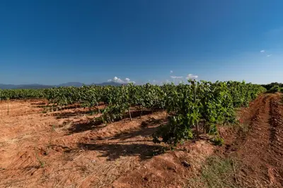 Paysage naturel près de l'appartement