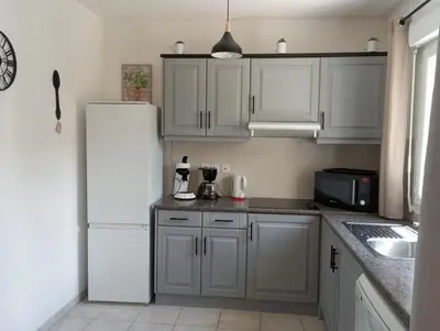 Cuisine ou kitchenette dans l'établissement Villa climatisée A Nuciola Prunete Entre mer, montagne et piscine
