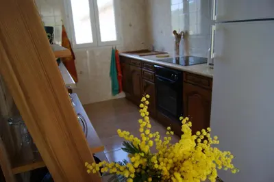 Cuisine ou kitchenette dans l'établissement Maison individuelle avec vue sur mer - Les Lauriers