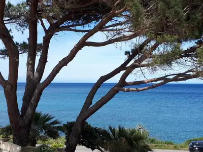 Paysage naturel près de la maison de vacances