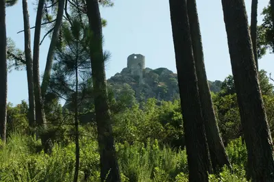 Paysage naturel près de l'appartement