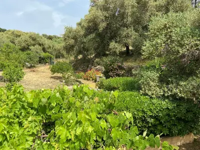 Paysage naturel près de l'appartement