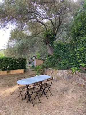 Jardin de l'établissement Seaview Garden Villa