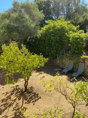 Jardin de l'établissement Seaview Garden Villa