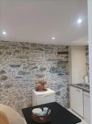 Cuisine ou kitchenette dans l'établissement U Vechju Fragnu